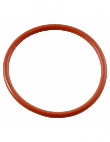 55113503 - O RING FOR MIXER SYSTEM