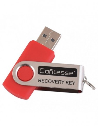 55109402 - USB RECOVERY KEY EXCELLENCE