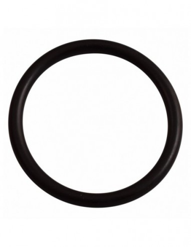 CIMBALI TOP PISTON O RING FOR 44MM...