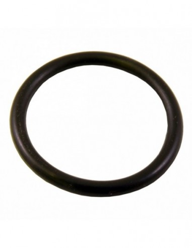 BRAVILOR O RING 21.90 X 2.62