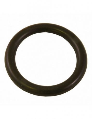 BRAVILOR O RING 23 X 4