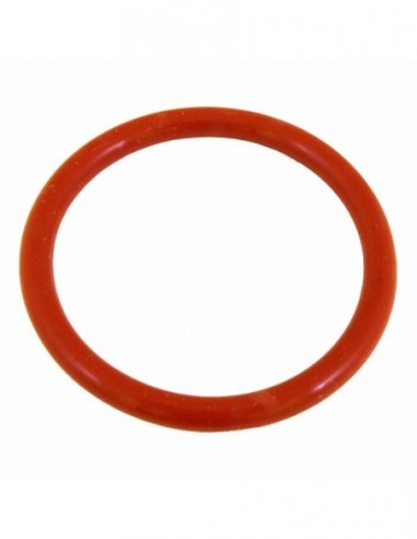 BRAVILOR ESPRECIOUS PISTON GASKET