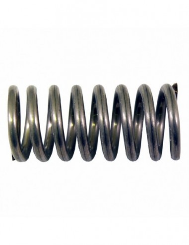 EXPANSION VALVE SPRING