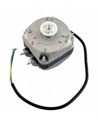 FAN MOTOR