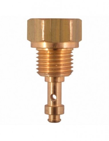 CONTI GRP SPRAY NOZZLE CAP - ORIGINAL