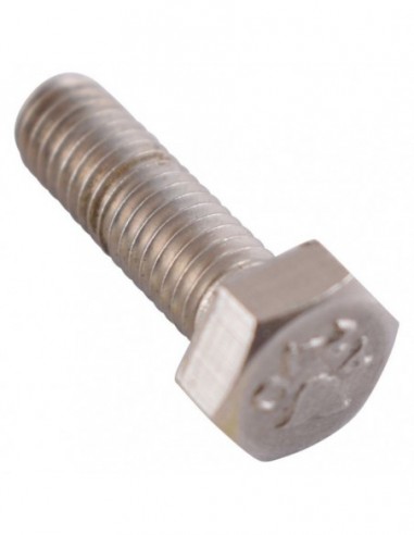 IBERITAL EXPRESSION SHOWER SCREW M5 X...