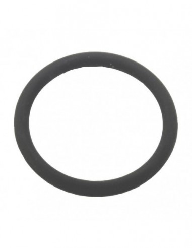 GAGGIA GD STEAM TUBE GASKET - ORIGINAL