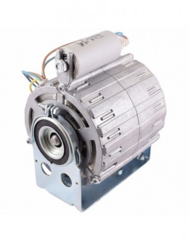 IBERITAL PUMP MOTOR 2/3 GRP - ORIGINAL