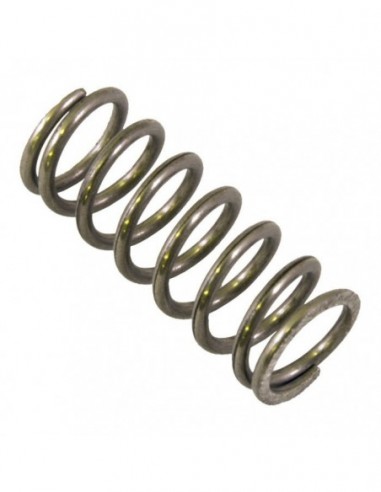 BRASILIA VALVE SPRING - NEW