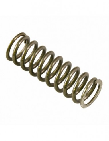 STEAM/WATER VALVE SPRING